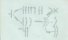 Bryan Cranstone's diagram of boomerangs
